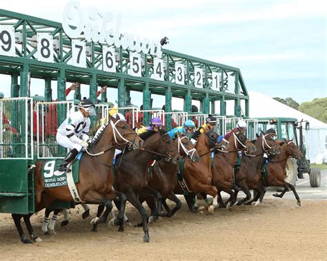 Nebraska Horse Racing 2024 .